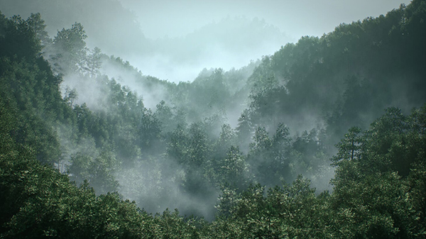 UE5超写实大场景view7